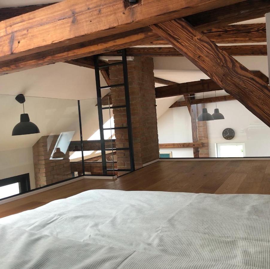 Loft V Historickom Centre Trenčín 外观 照片